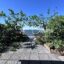 T2 de 40m2 vue fleuve
